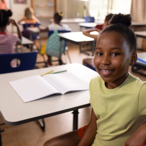 Portrait of happy african american schoolgirl in diverse elementary school class. School, learning, childhood, teaching and education, unaltered.